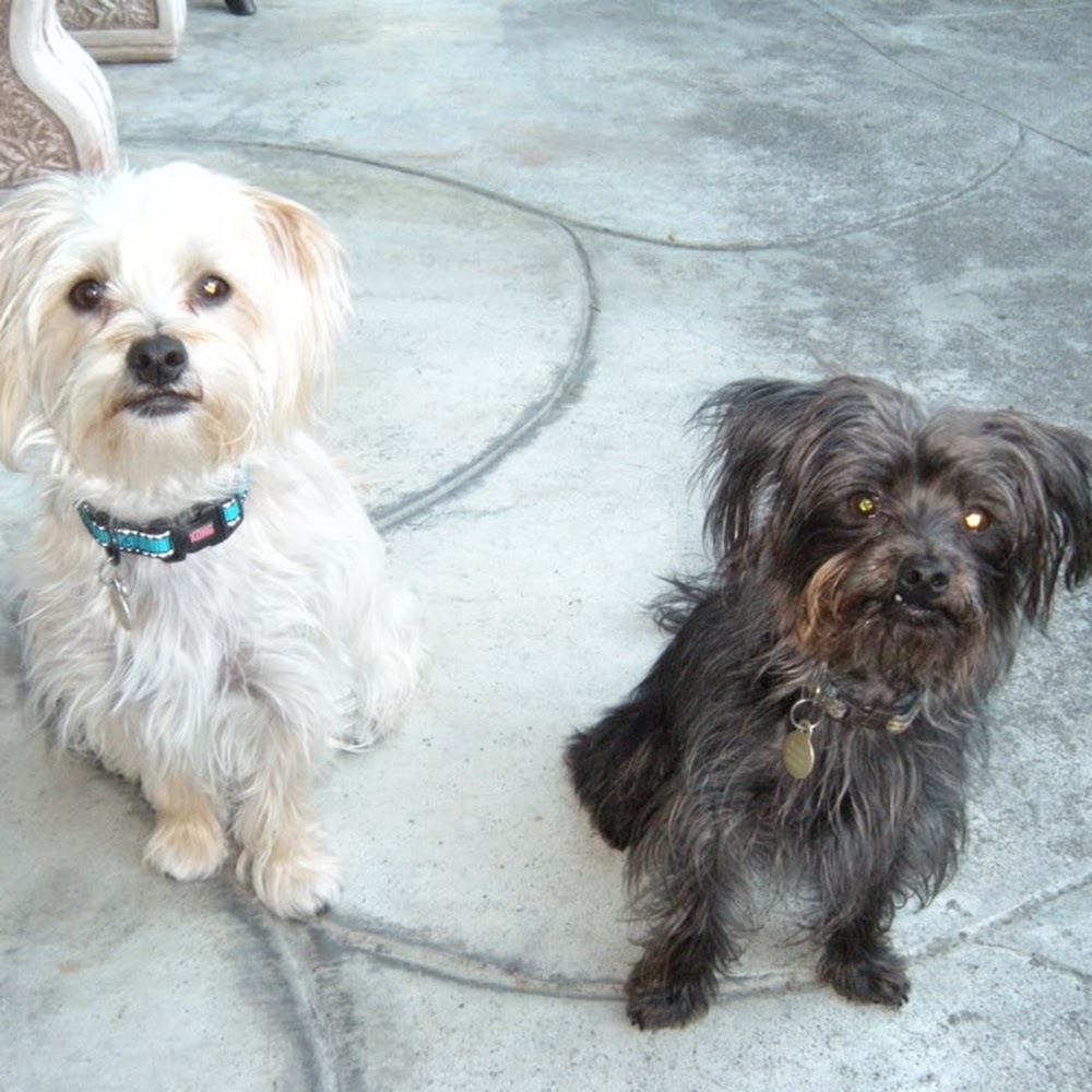 Meet your Posher, Athena